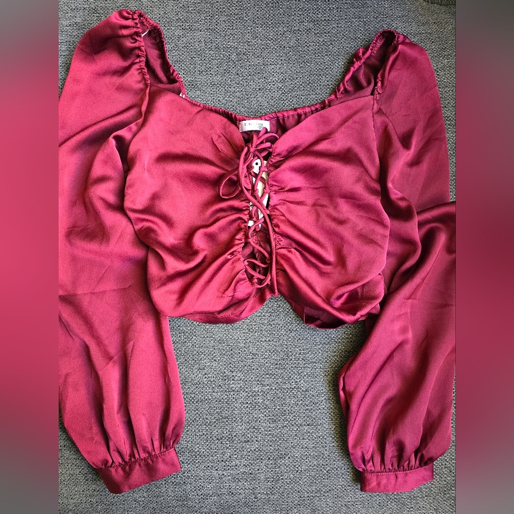 ✨️ Burgundy Crop Top ✨️